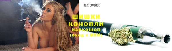 тгк Абаза