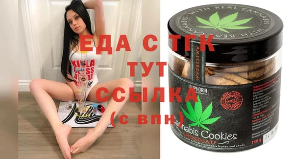 тгк Абаза